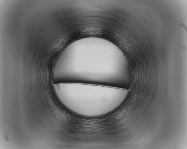 X0000098040643200804071442