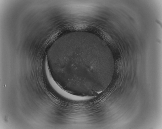 X0000098040644200804071442