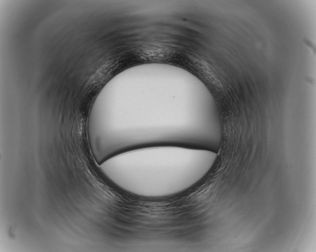 X0000098040645200804071443