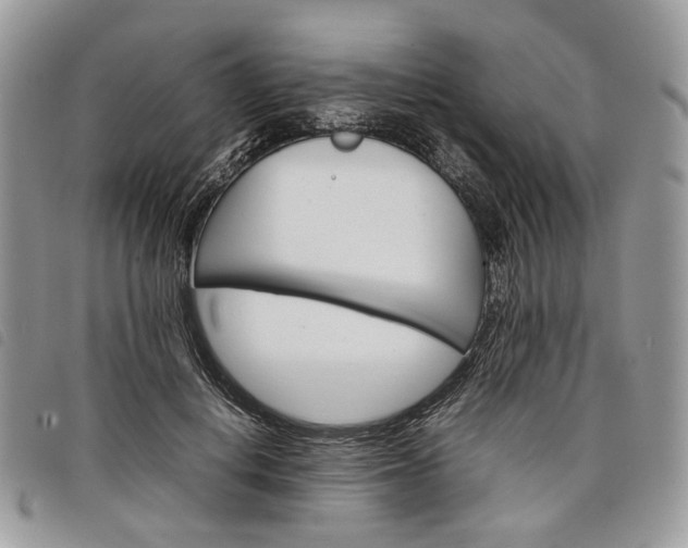 X0000098040648200804071443