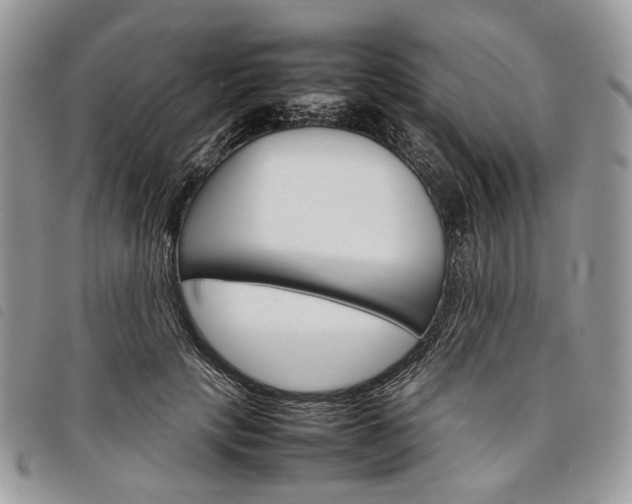 X0000098040649200804071443