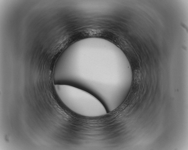 X0000098040650200804071443