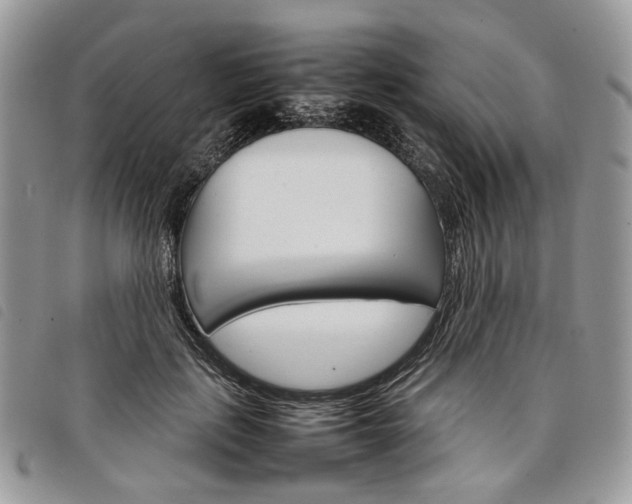 X0000098040651200804071443