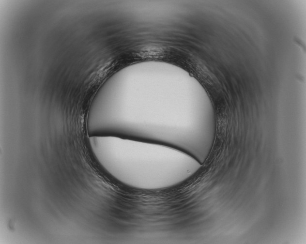 X0000098040652200804071443
