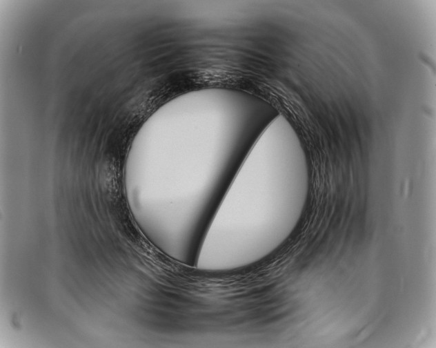 X0000098040653200804071443