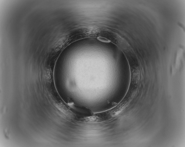 X0000098040654200804071443
