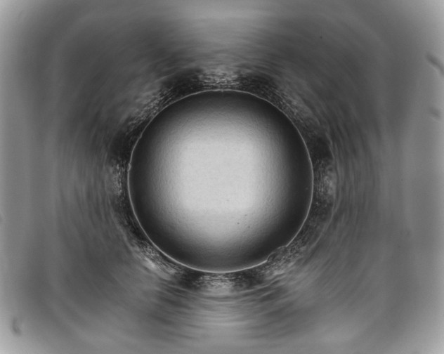 X0000098040658200804071443