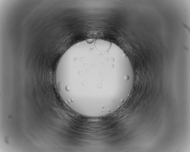 X0000098040659200804071443