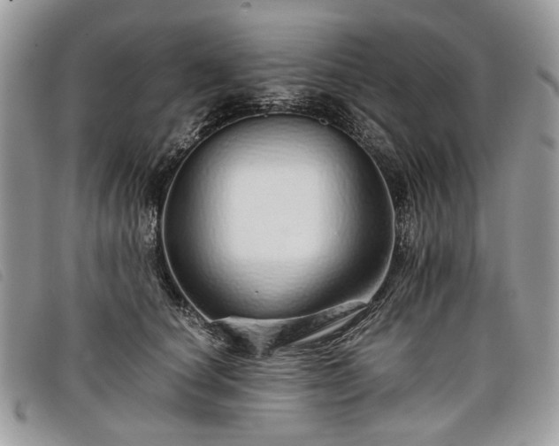 X0000098040660200804071443