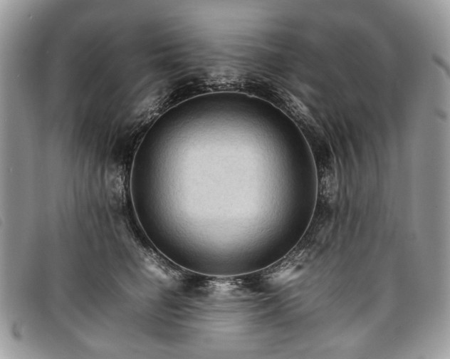 X0000098040662200804071443