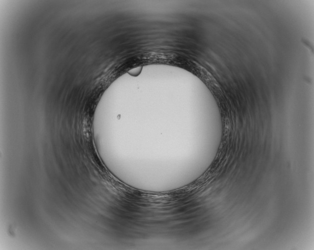 X0000098040663200804071443
