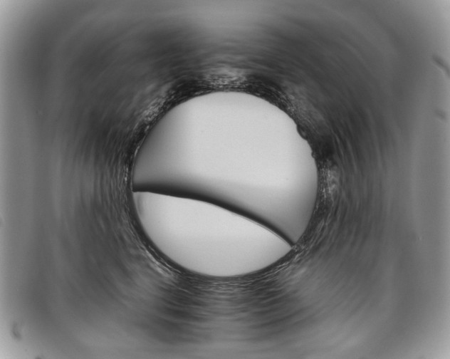 X0000098040664200804071443