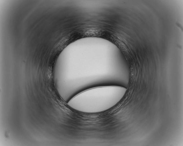 X0000098040665200804071443