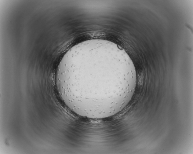 X0000098040666200804071443