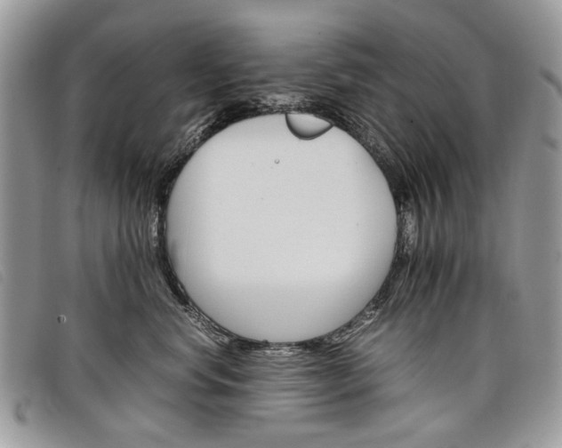 X0000098040668200804071443