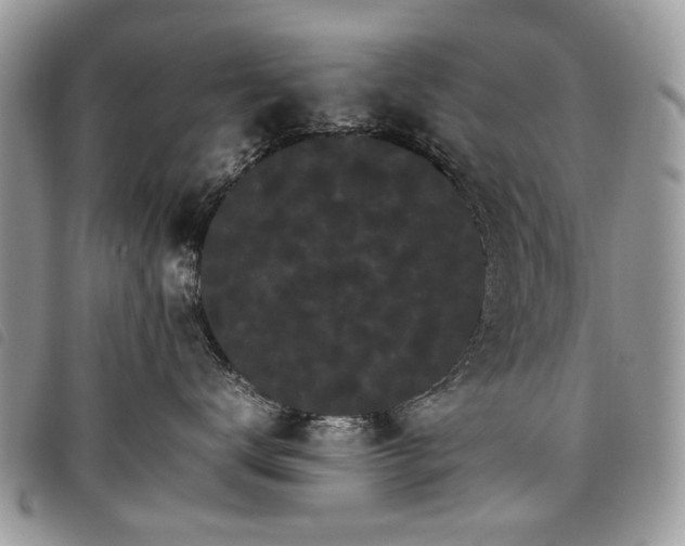 X0000098040672200804071443