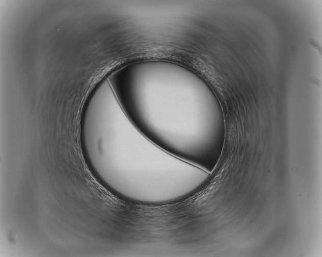 X0000098040673200804071442