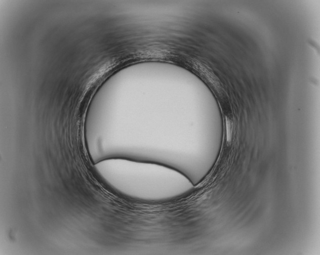 X0000098040675200804071442