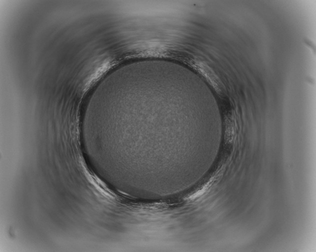 X0000098040677200804071442