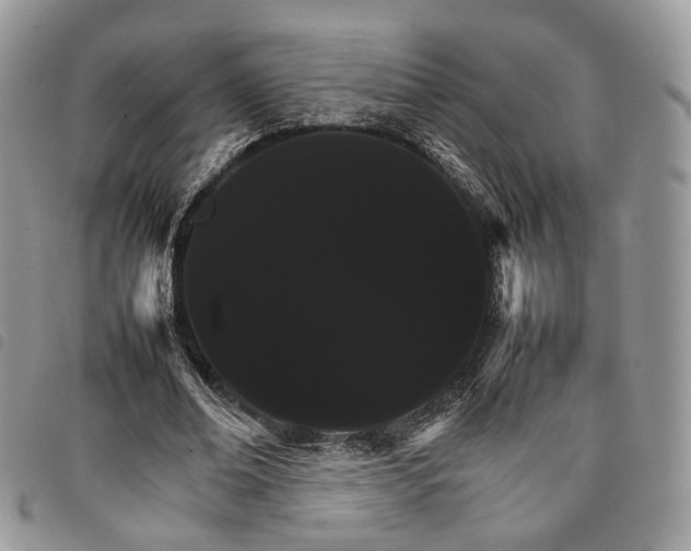 X0000098040678200804071442