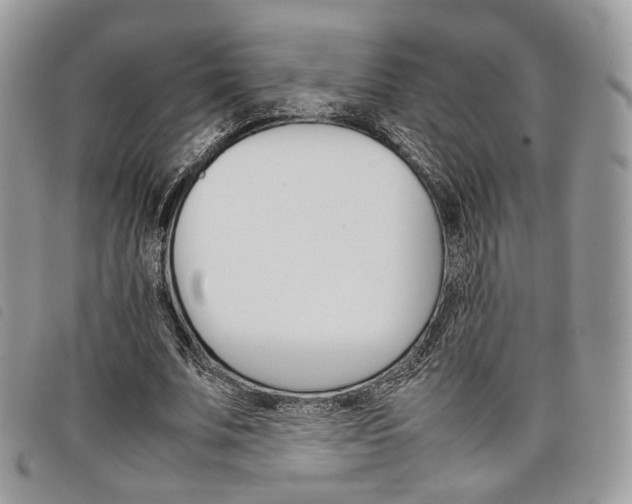X0000098040679200804071442