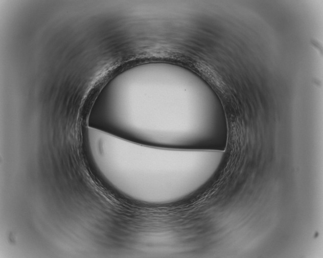 X0000098040680200804071442