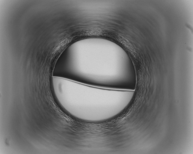 X0000098040681200804071442