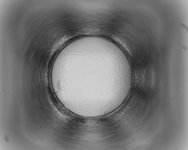 X0000098040682200804071442