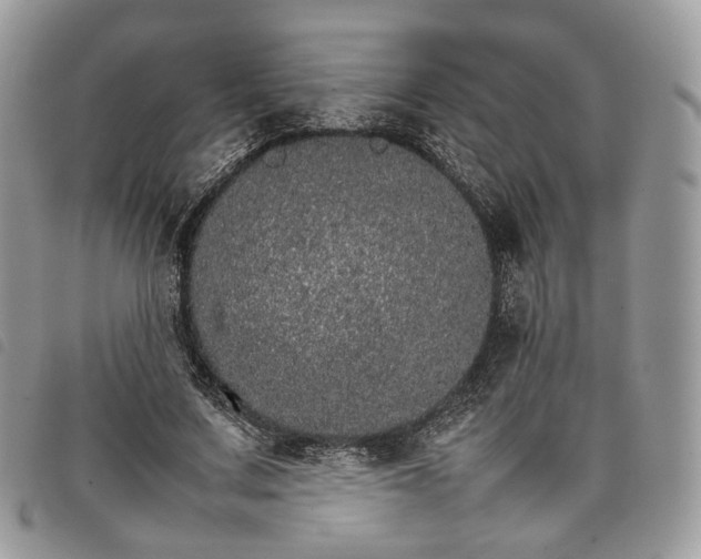 X0000098040683200804071442