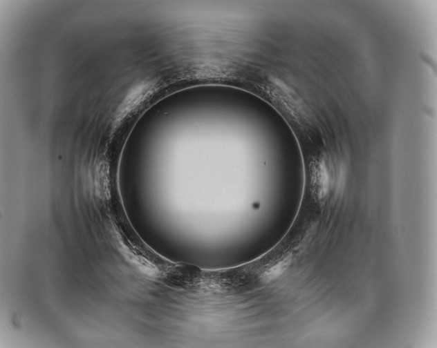 X0000098040684200804071442