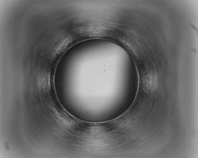 X0000098040686200804071442