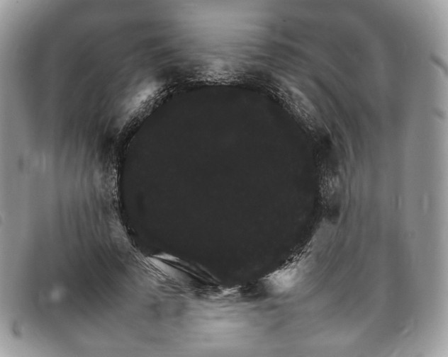 X0000098040689200804071442