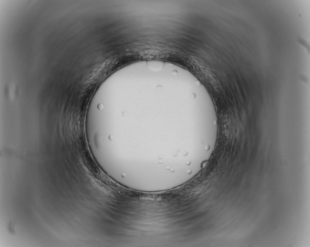 X0000098040690200804071442