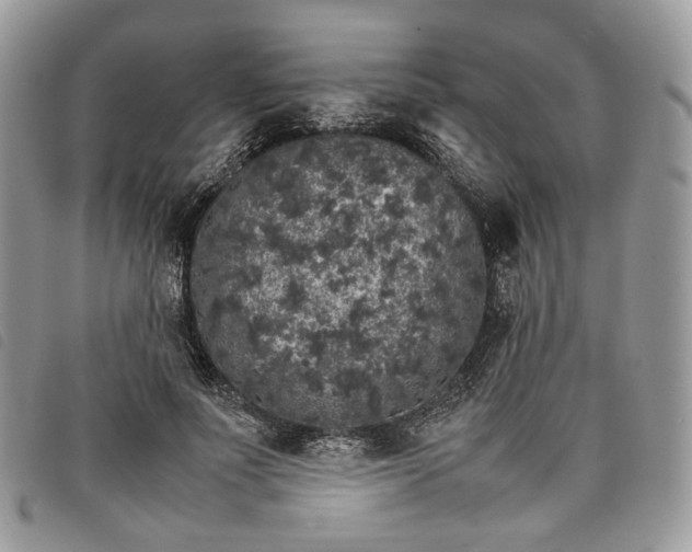 X0000098040691200804071442