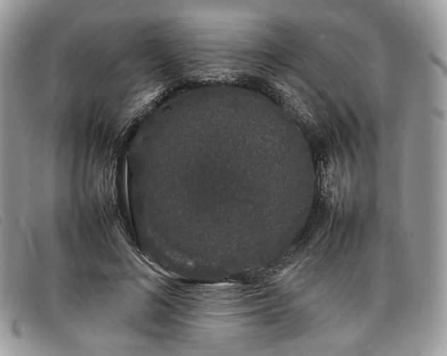 X0000098040692200804071442