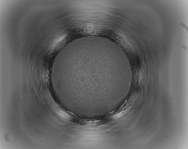 X0000098040693200804071442