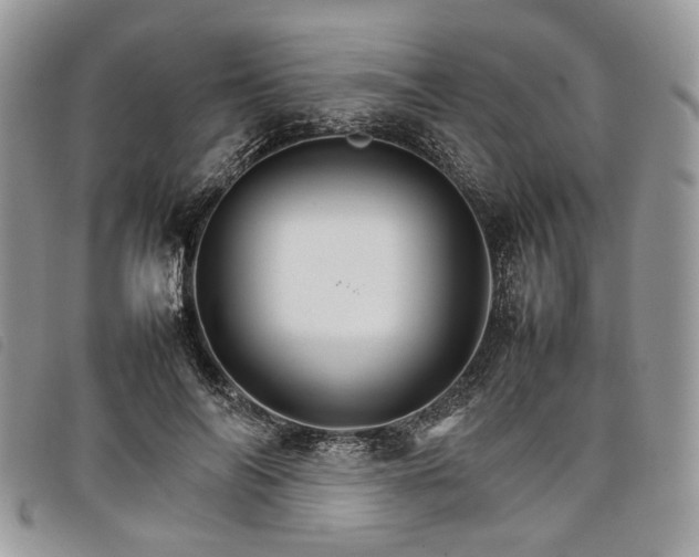 X0000098040694200804071442