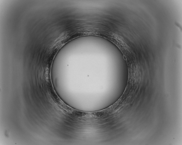 X0000098040696200804071442