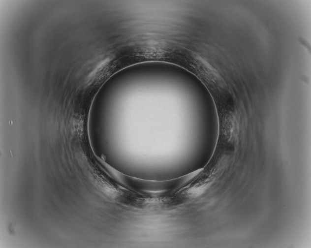 X0000098040697200804071442