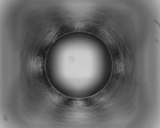 X0000098040698200804071442