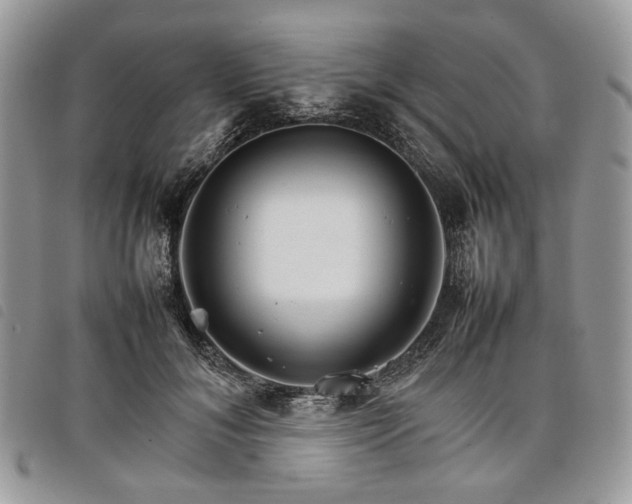 X0000098040700200804071442
