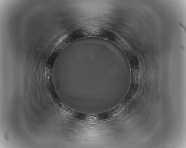 X0000098040701200804071442