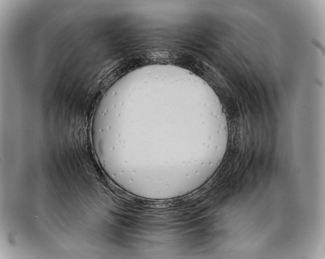 X0000098040702200804071442