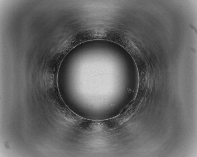 X0000098040704200804071442