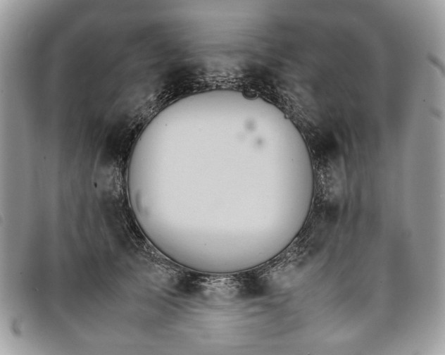 X0000098040705200804071442