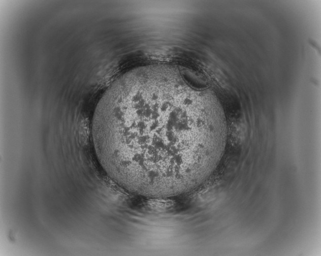 X0000098040707200804071442