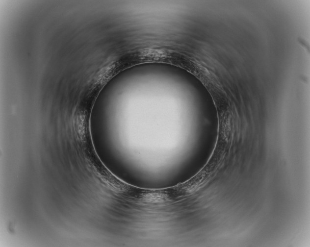 X0000098040708200804071442