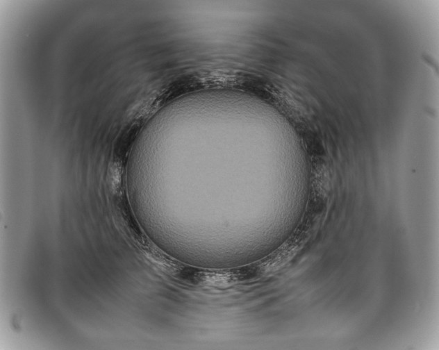 X0000098040709200804071442