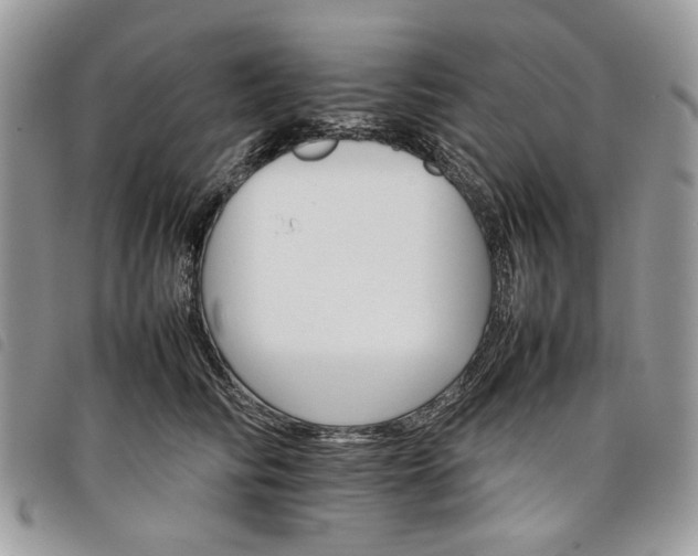 X0000098040710200804071442