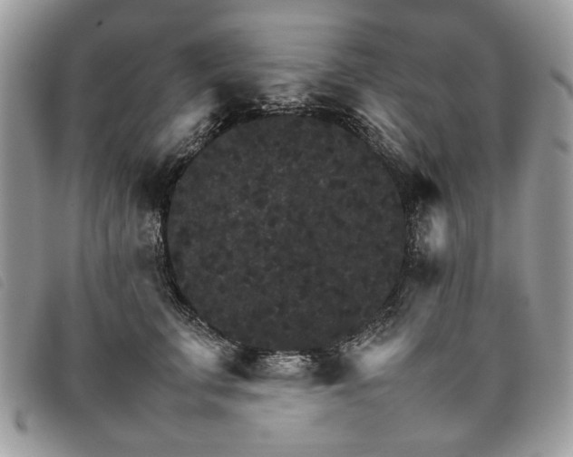 X0000098040711200804071442